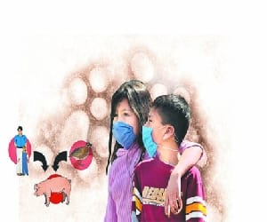 swine flu virus will end in summer.